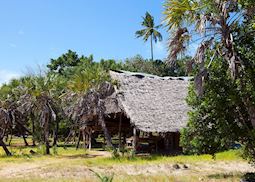 Funzi Island
