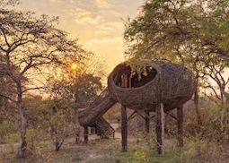 Nest exterior, Chisa Busanga Camp