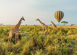 Serengeti hot-air balloon safari