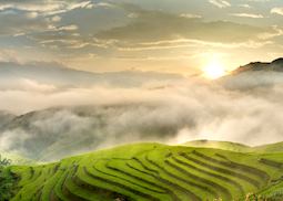 Terraced rice fields in Mu Cang Chai