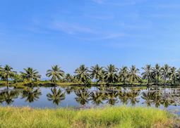 Wetlands in Koh Kong, Cambodia