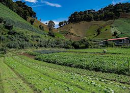 Chiriqui Highlands, Panama
