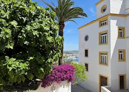 Flowers, Ibiza Town