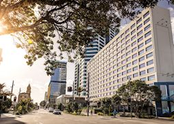 M Social, Auckland