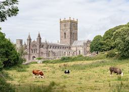 St Davids Cathedral, St Davids