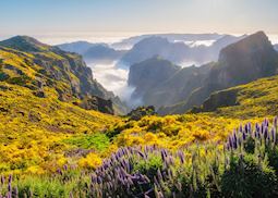 Pico do Arieiro, Madeira