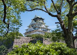 Osaka Castle during summer