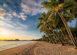 Palm Cove, Cairns Region