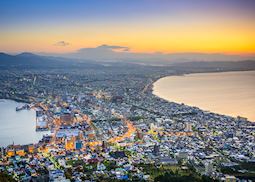 Hakodate skyline at dusk