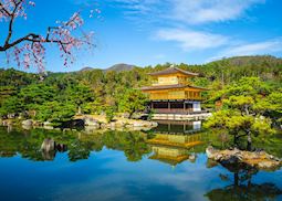 Kinkakuji Temple, Kyoto