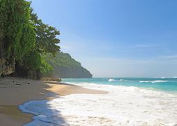 Beach in Bali Barat National Park