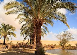 Siwa Oasis