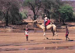 Camel safari, Samburu Intrepids