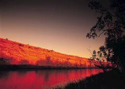 Murray River, South Australia