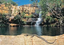 Galvans Gorge, the Kimberley