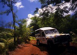 Four wheel drive safari, Huahine