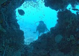 Diving on the Bazaruto reefs