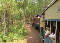 Toy Train to Shimla