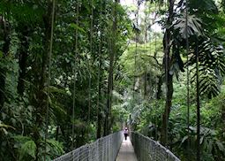 Canopy Walkway, Arenal