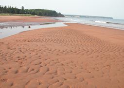 A beach on Prince Edward Island