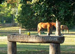 Pousada Rio Mutum, the Pantanal