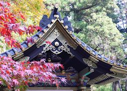 Temple roofs & autumn leaves, Nikko