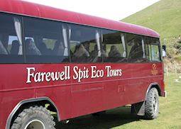 Farewell Spit Eco Tours, Collingwood