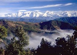 View from Leti, Almora