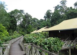 Walkway to chalets, Borneo Rainforest Lodge, Danum Valley