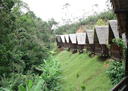 Feon'ny Ala, Andasibe-Mantadia National Park