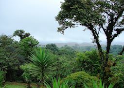 San Ramón, Costa Rica