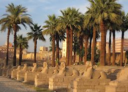 Avenue of sphinxes, Luxor Temple