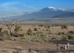 Enjoying a walking safari with the Maasai