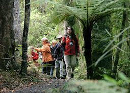 Walking through the forest, Ulva Island