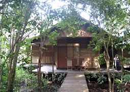 Rimba Lodge, Tanjung Puting