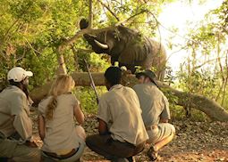 Guided walk from Mokolwane Camp