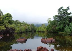 Masoala National Park, Madagascar