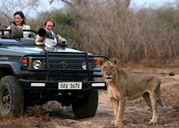 Game drive with Shenton Safaris