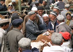 Livestock market, Kashgar