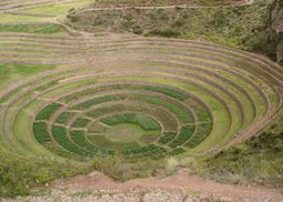 Moray agricultural terraces