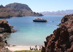 National Geographic Sea Lion/Sea Bird, La Paz