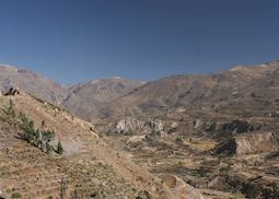 Pre-Inca terracing in the Colca Canyon