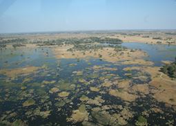 Okavango Delta, Botswana