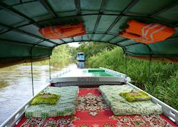 The view from your Klotok boat, Tanjung Puting, Indonesia