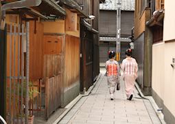 Geisha spotted during cycling tour of Kyoto