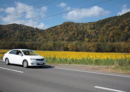 Driving in Hokkaido