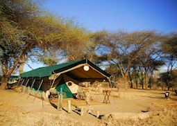Mdonya Old River Camp, Ruaha National Park