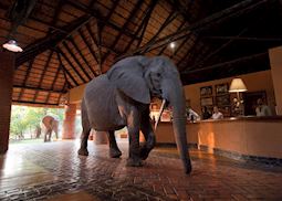 Mfuwe Lodge, South Luangwa National Park
