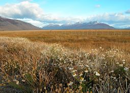 El Calafate in Autumn (April), Argentina