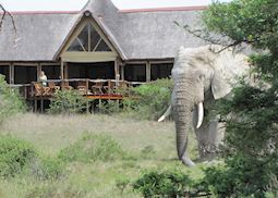 Amakhala Bush Lodge, Eastern Cape Game Areas